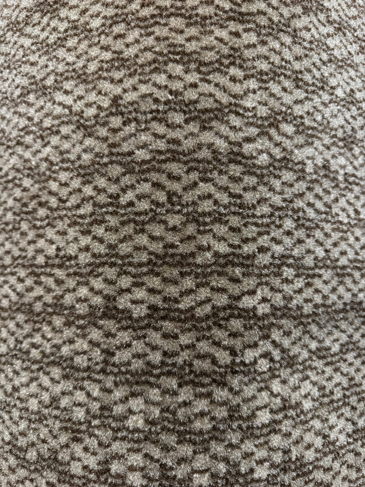 12 Feet Wall to Wall Carpet